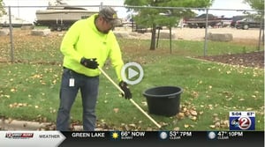 WBAY - Rake leaves 10.14.2021