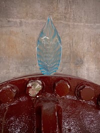 NACWA Award_Critical Assets Video_2025