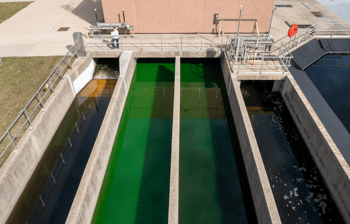 Dye Testing 2023