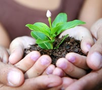 Gardening