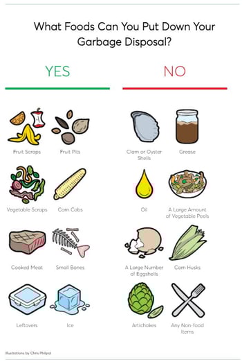 What Foods Can you put down your garbage disposal_ Image credit consumer reports