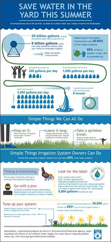 Save Water in the Summer