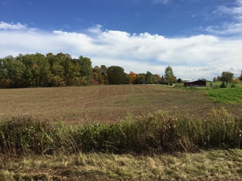 Silver Creek Cover Crop