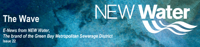 Q3 2016 The Wave Newsletter