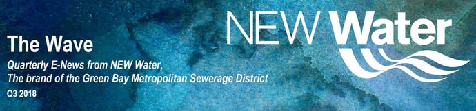 Q3 2018 The Wave Newsletter