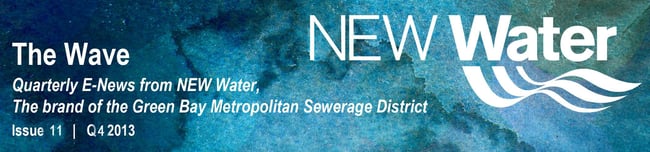 Q4 2013 The Wave Newsletter