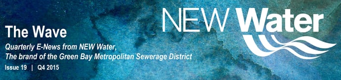 Q4 2015 The Wave Newsletter