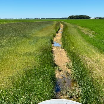 Two-Stage Ditch with Buffer_Square_Website