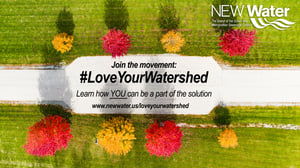 Join the movement LYW 2021