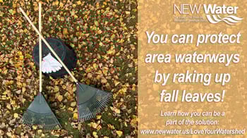 Rake Your Leaves 10.25.2021