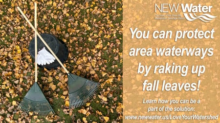 Rake Your Leaves 10.25.2021