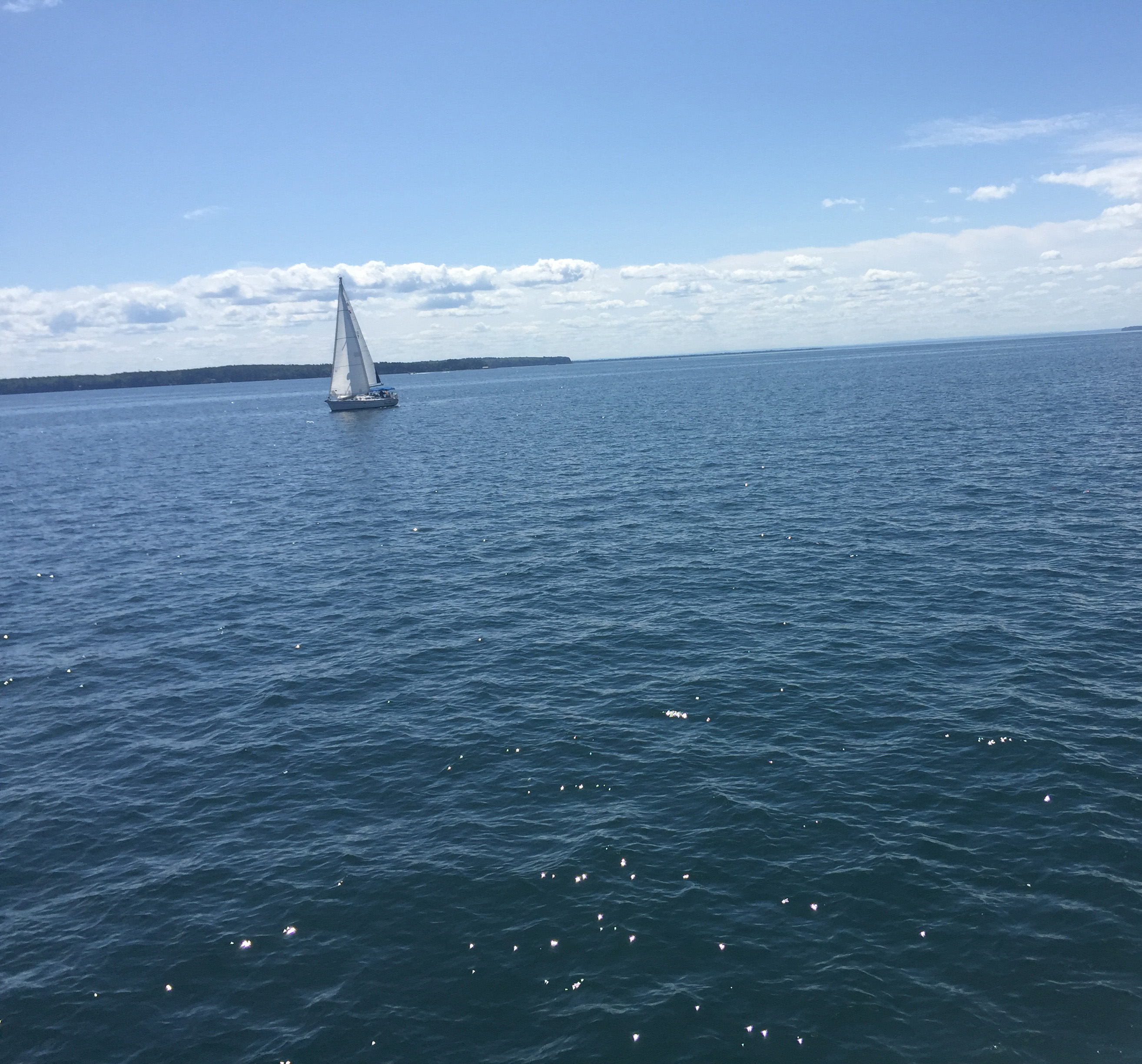 Sail boat on water
