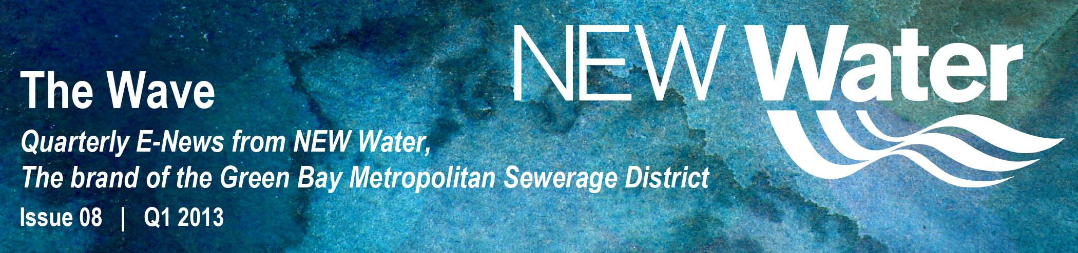 Q1 2013 The Wave Newsletter