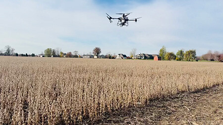 Drone seeding