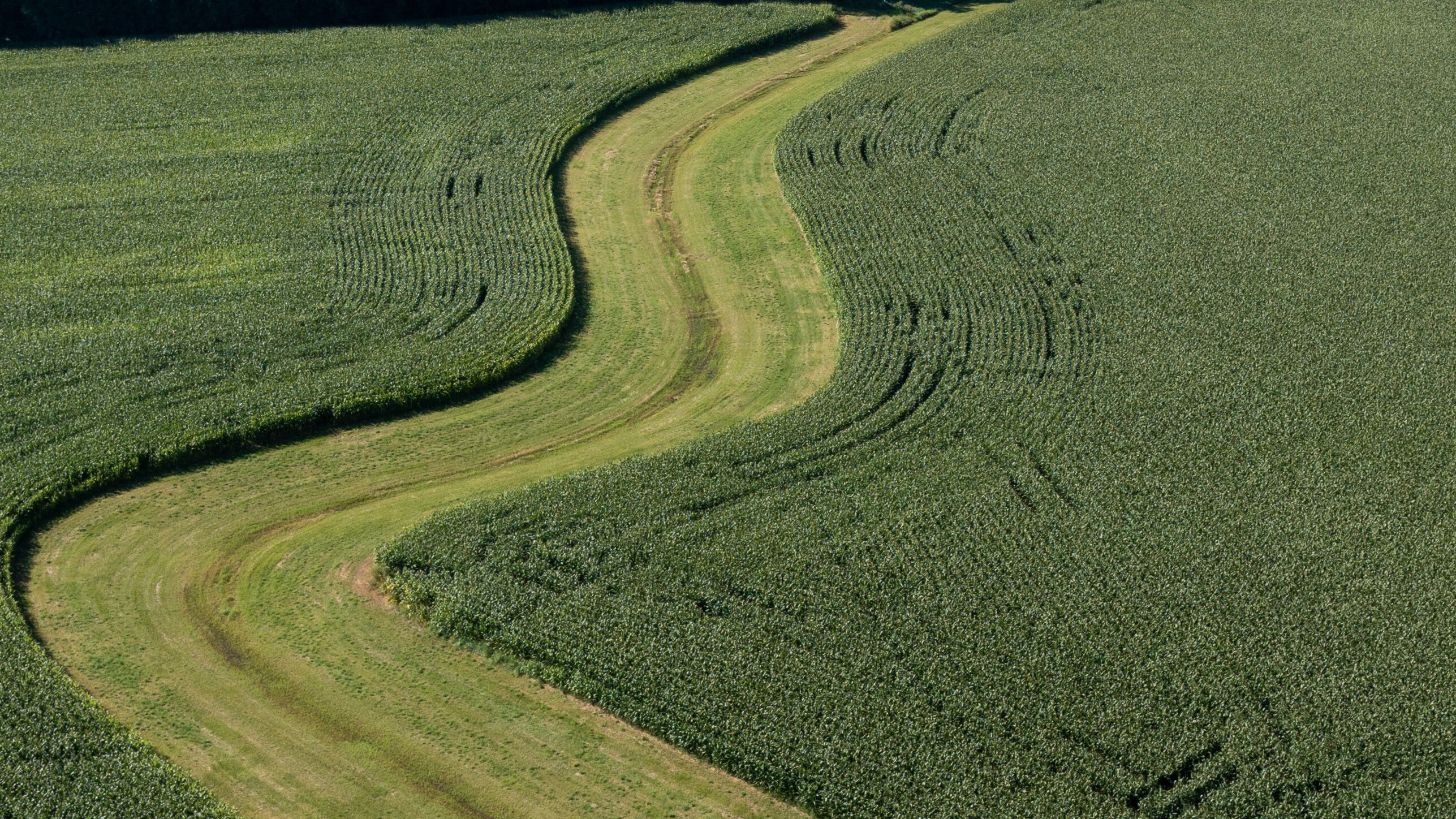 Conservation Practices of Two-Staged Ditch