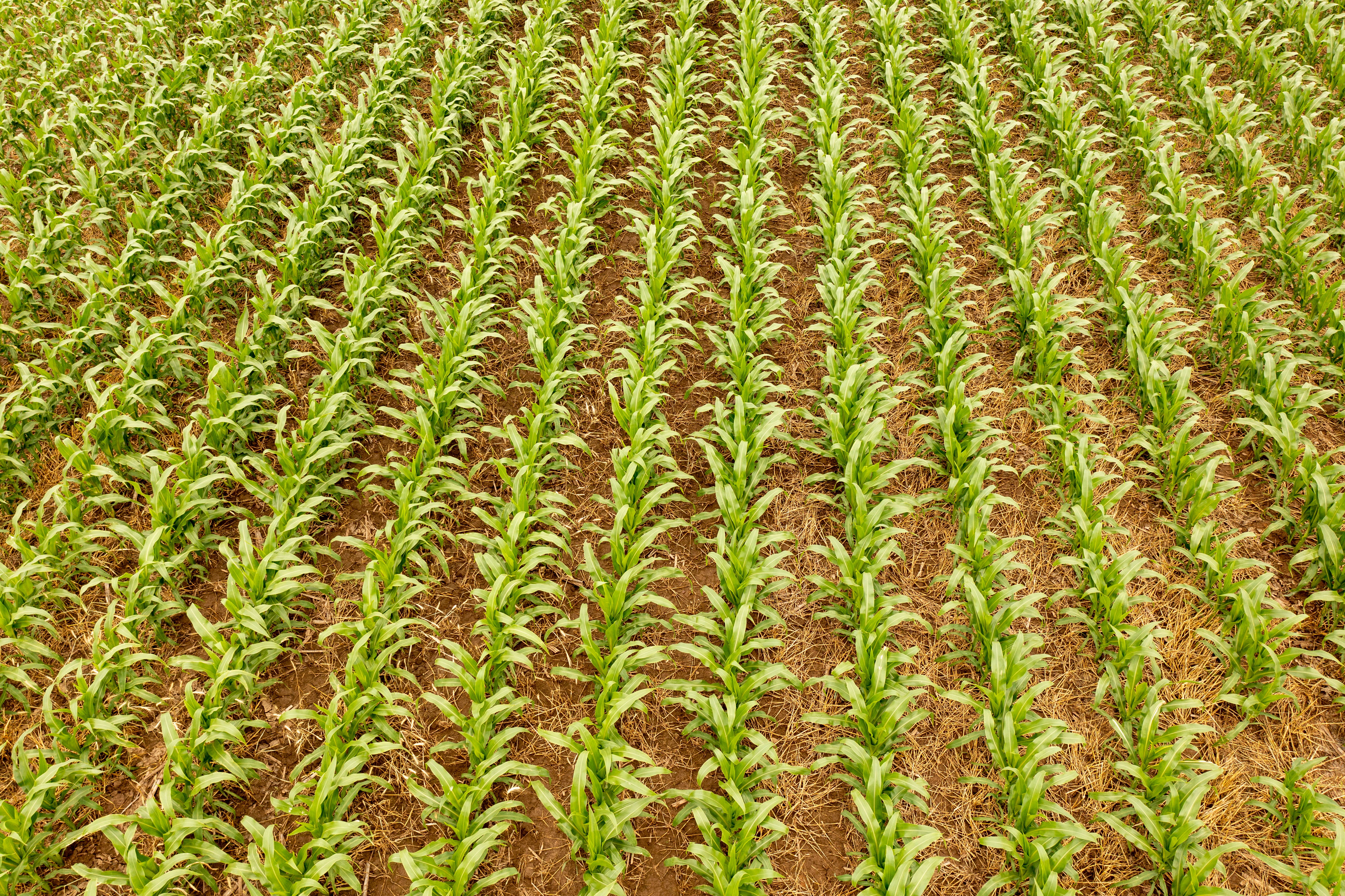 NEW Watershed program update