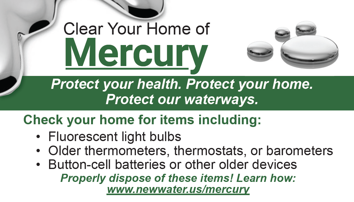Clear Your Home of Mercury