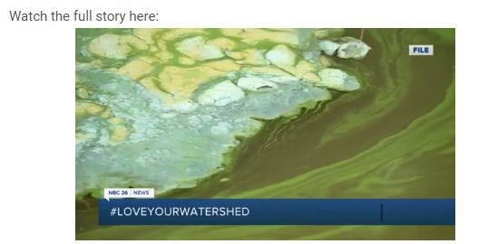 NBC LoveYourWatershed Story