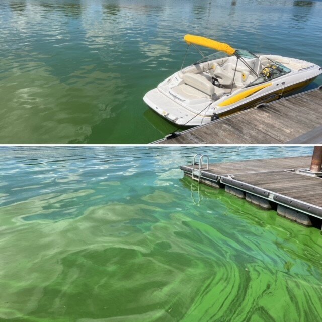Water Quality Monitoring in near real time