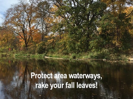 Love Your Watershed and rake your fall leaves