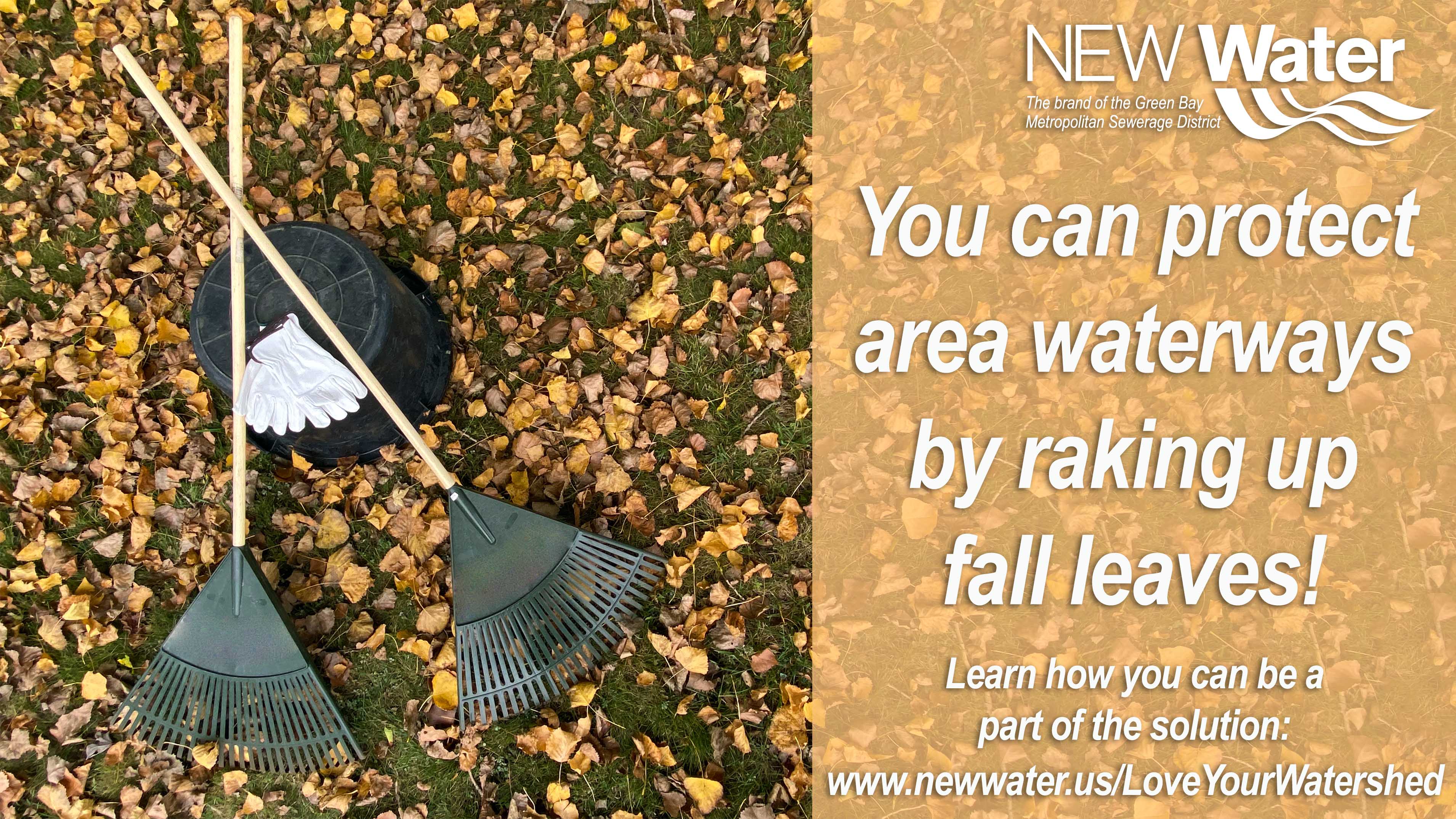 Raking up leaves to help protect our environment